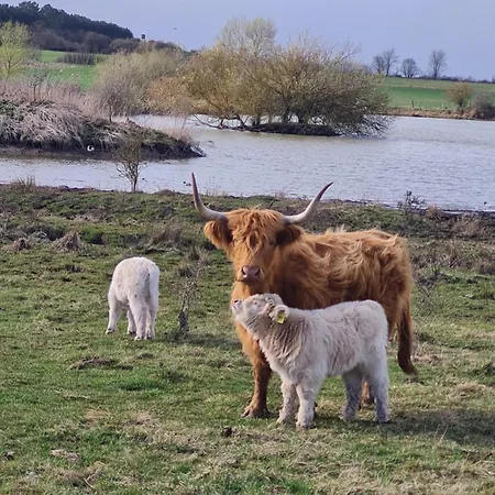 Emstaler Auszeit דירה Bad Emstal